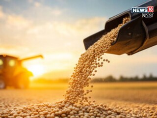 Agricullture News Agricullture News