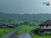 शेतकऱ्यांची चिंता वाढली! पुढच्या ४८ तासांत मोठं संकट, कृषी सल्ला काय?