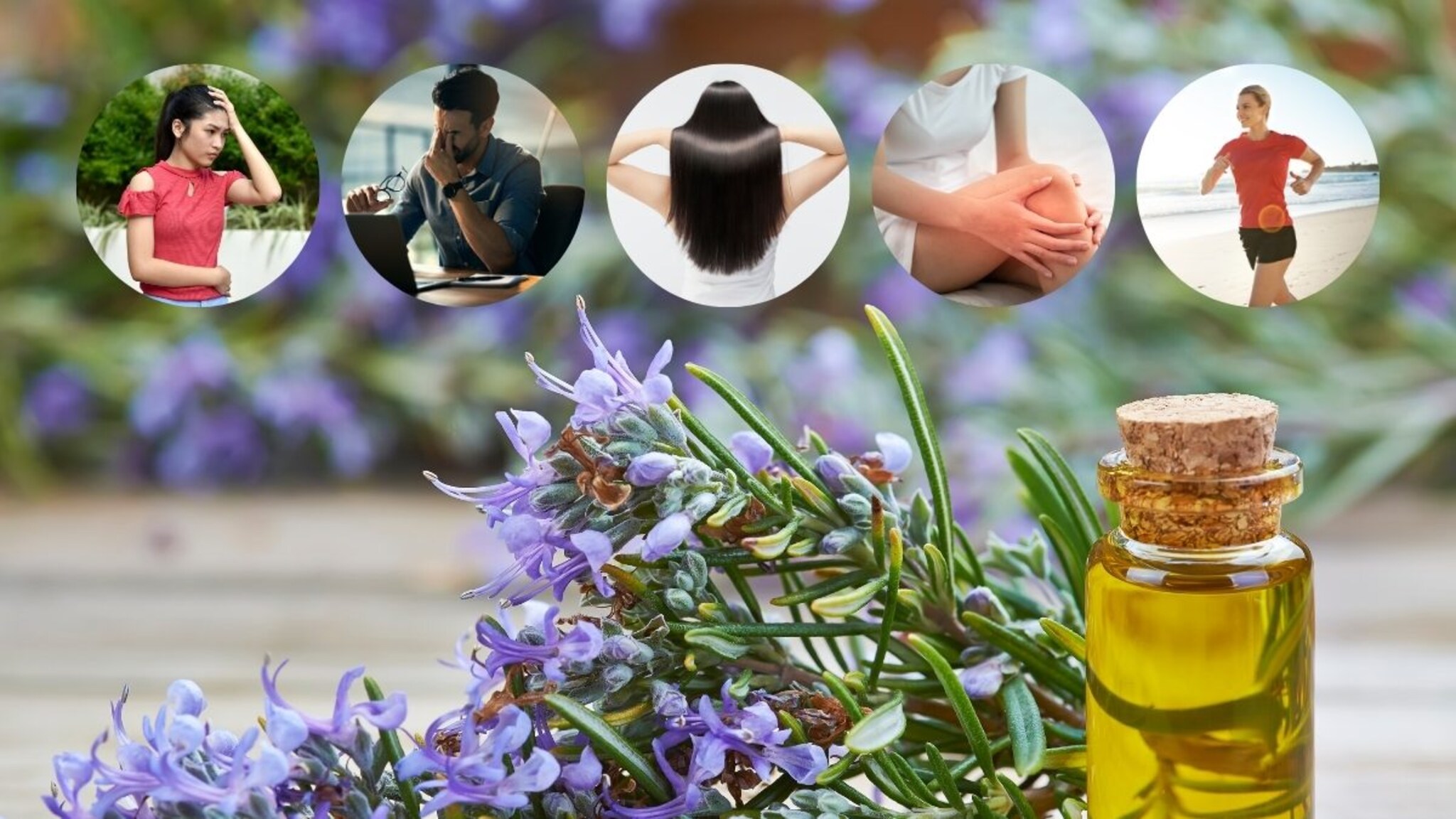 मेंदू होईल ॲक्टिव्ह अन् टेन्शन जाईल दूर, फक्त 'ही' औषधी वनस्पती अशी वापरा; काही दिवसांतच दिसेल फरक!