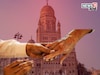 हालचालींना वेग, BMC निवडणुकीचा बिगुल कधी वाजणार? समोर आली अपडेट