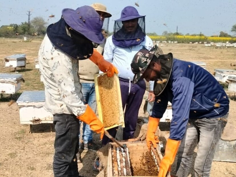 आज शुभम यांनी पाच लोकांना रोजगार दिला आहे. विक्रीसाठी अमूल यांसारख्या मोठ्या कंपन्यांबरोबरच स्वतःचा The Hive Honey हा ब्रँड त्यांनी उभा केला आहे. मॉल, मेडिकल, तसेच विविध प्रदर्शन आणि स्टॉलच्या माध्यमातून थेट ग्राहकांपर्यंत पोहोचवले जात आहे. 2021 मध्ये त्यांनी नंतवर्षा अपियरी नावाने स्वतःचा मधमाशी फार्म सुरू केला आणि The Hive Honey या ब्रँडची स्थापना केली. आज या ब्रँडची बाजारपेठेत खास ओळख निर्माण झाली आहे.