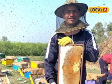 साप-कोल्ह्यांचा त्रास सहन केला, माशांनीही दंश मारला, पण शुभमने अखेर उभारला साखरेहून गोड बिझनेस! साप-कोल्ह्यांचा त्रास सहन केला, माशांनीही दंश मारला, पण शुभमने अखेर उभारला साखरेहून गोड बिझनेस!