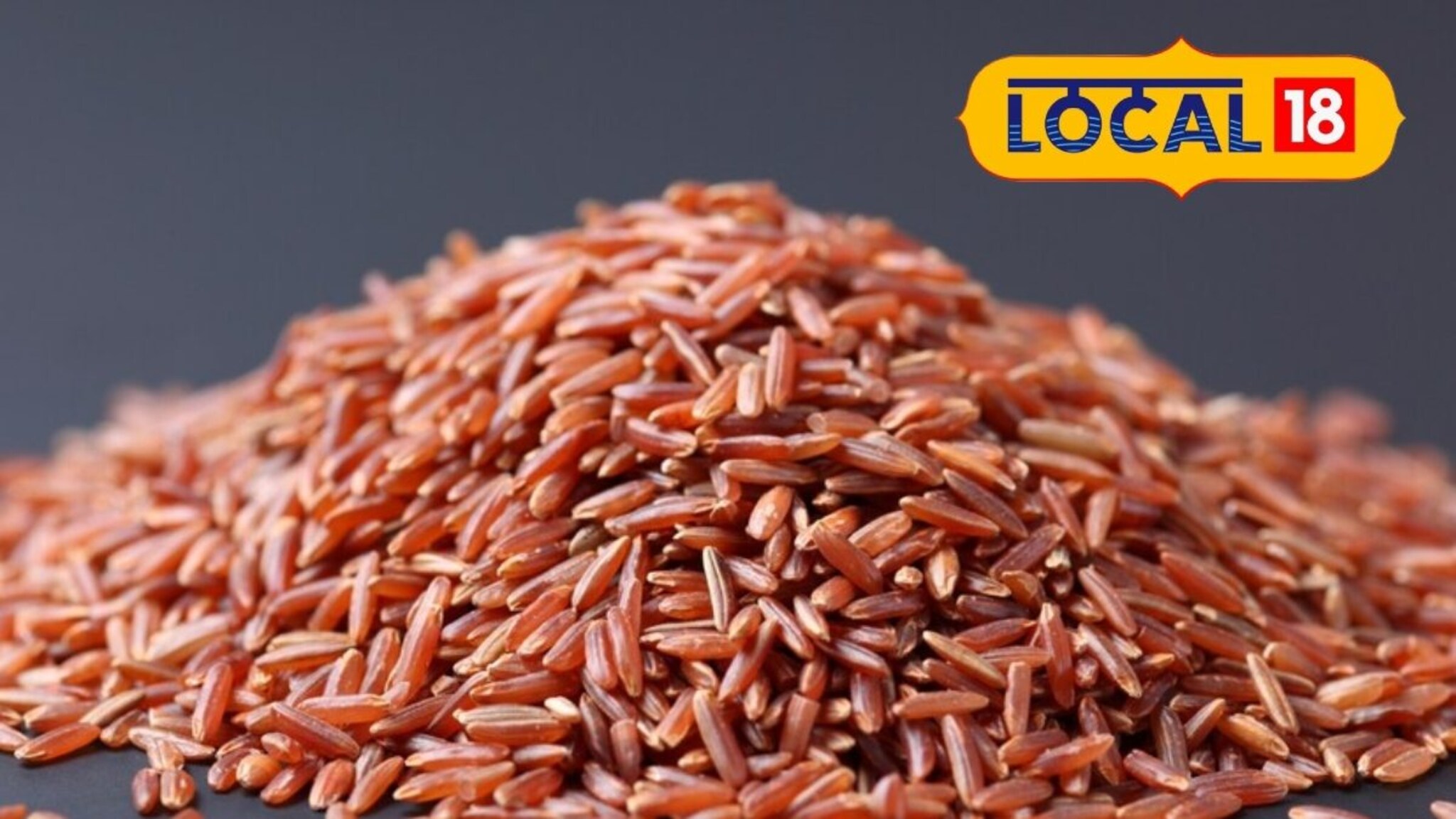 Brown Rice: डायबेटिक रुग्णांसाठी हा राईस ठरतो वरदान, फायदे ऐकाल तर आजच खरेदी कराल