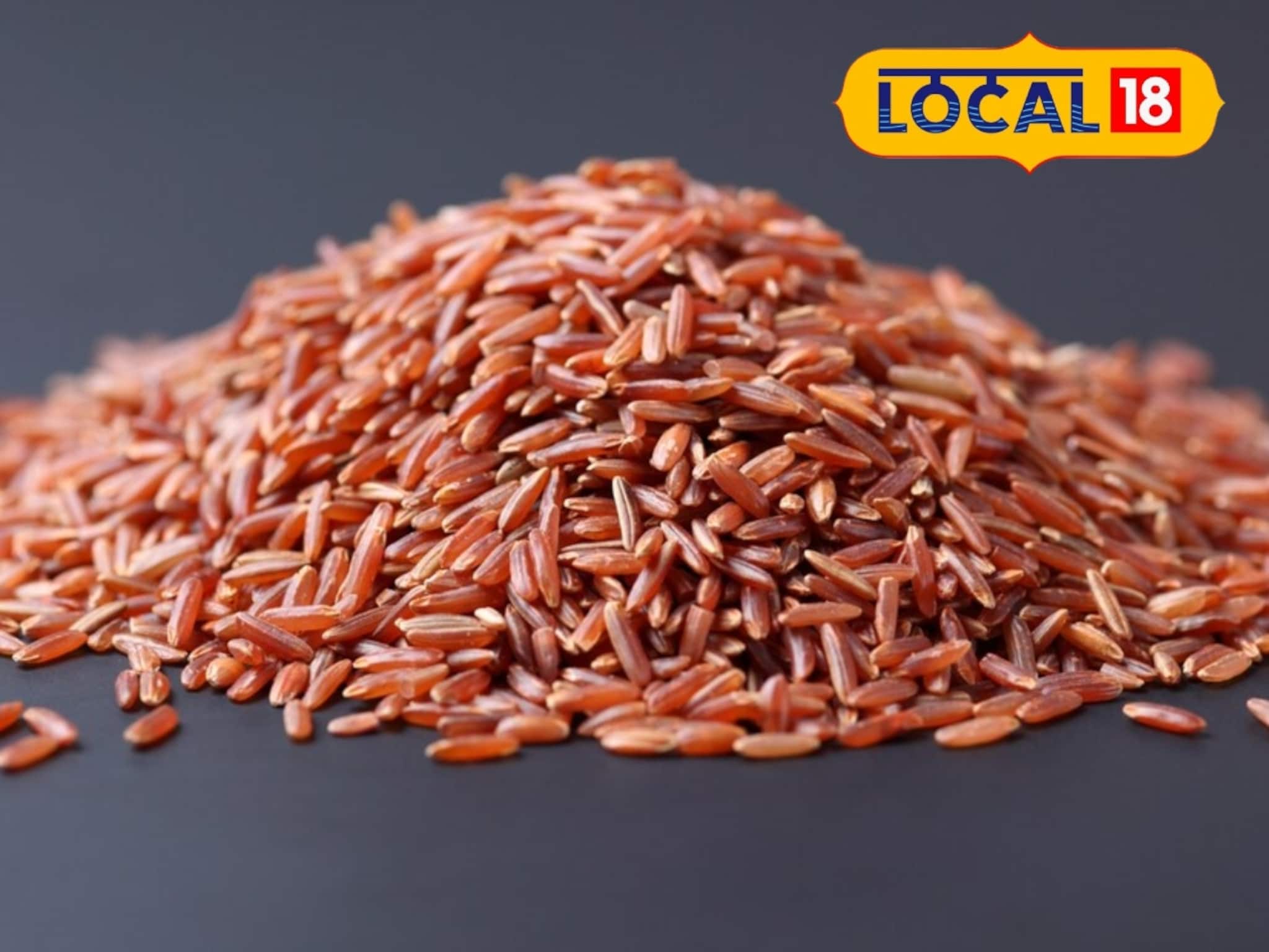 Brown Rice: डायबेटिक रुग्णांसाठी हा राईस ठरतो वरदान, फायदे ऐकाल तर आजच खरेदी कराल
