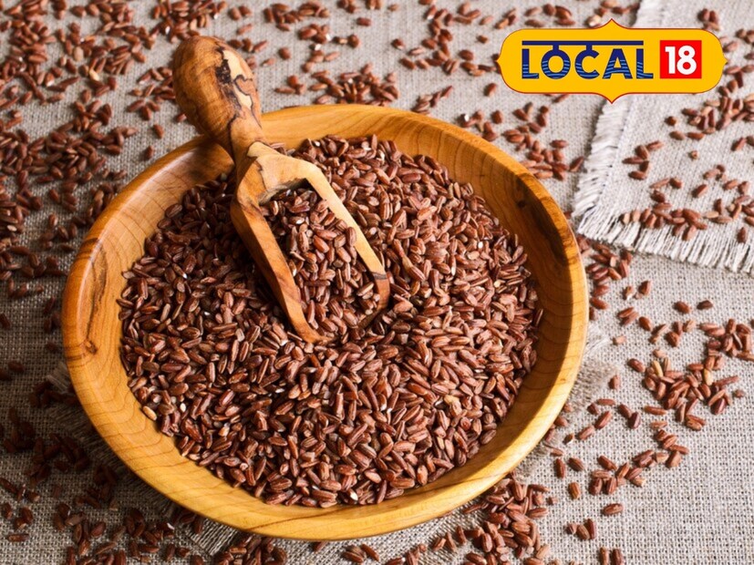 ब्राऊन राईसमधील फायबर्स, व्हिटॅमिन्स आणि अँटीऑक्सिडंट्स वजन कमी करण्याच्या प्रक्रियेत उपयुक्त आहेत. हे घटक कोलेस्टेरॉल नियंत्रित करतात आणि रोगप्रतिकारक क्षमता वाढवतात. फायबरमुळे पोट जास्त वेळ भरलेले राहते आणि वजन नियंत्रणात राहण्यास मदत होते. 