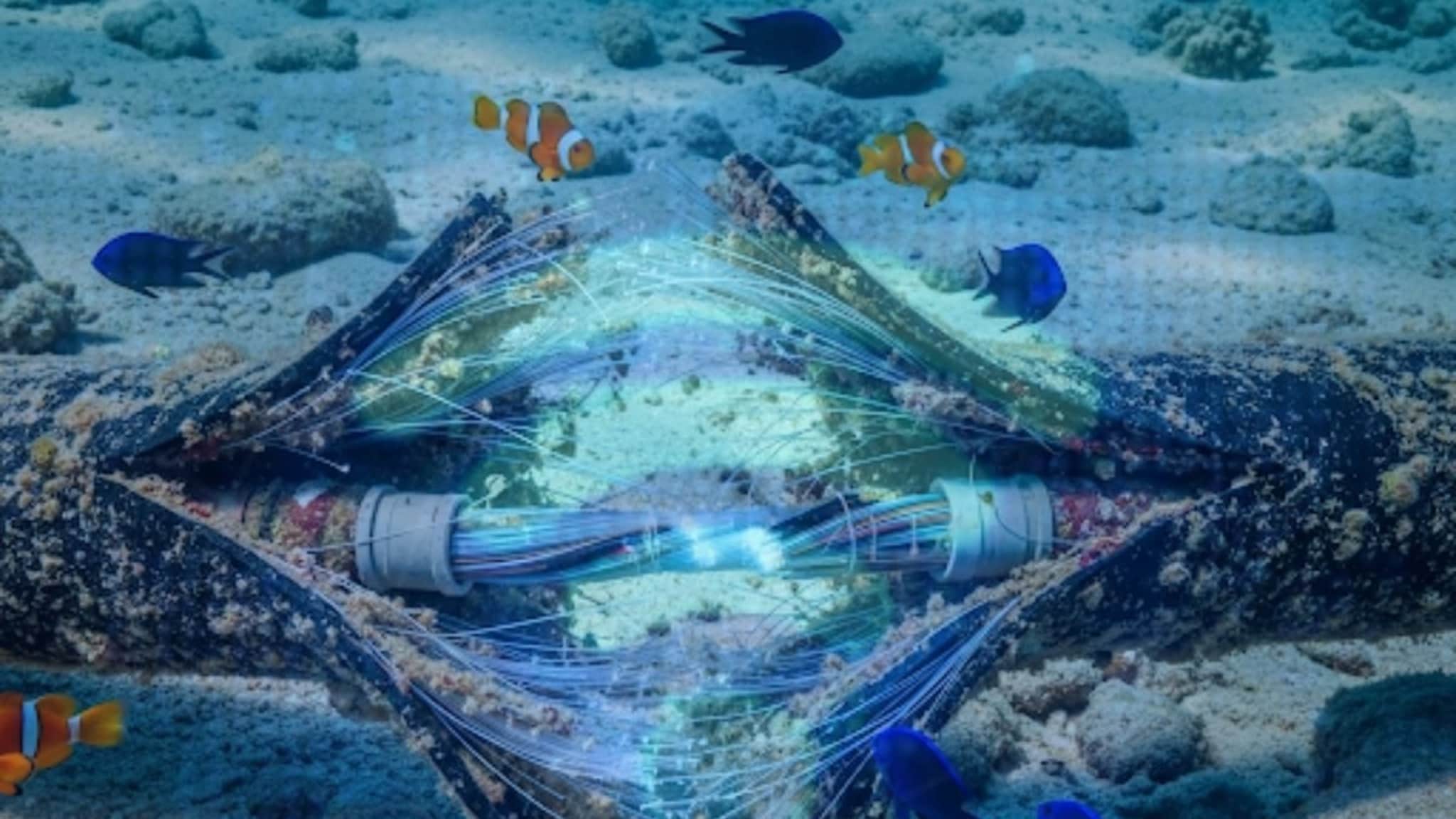 भारतातले इंटरनेट कनेक्शन डाऊन, समुद्रातील केबल्स तुटल्याने खळबळ; उद्या मोठ्या ब्लॅकआउटचा धोका