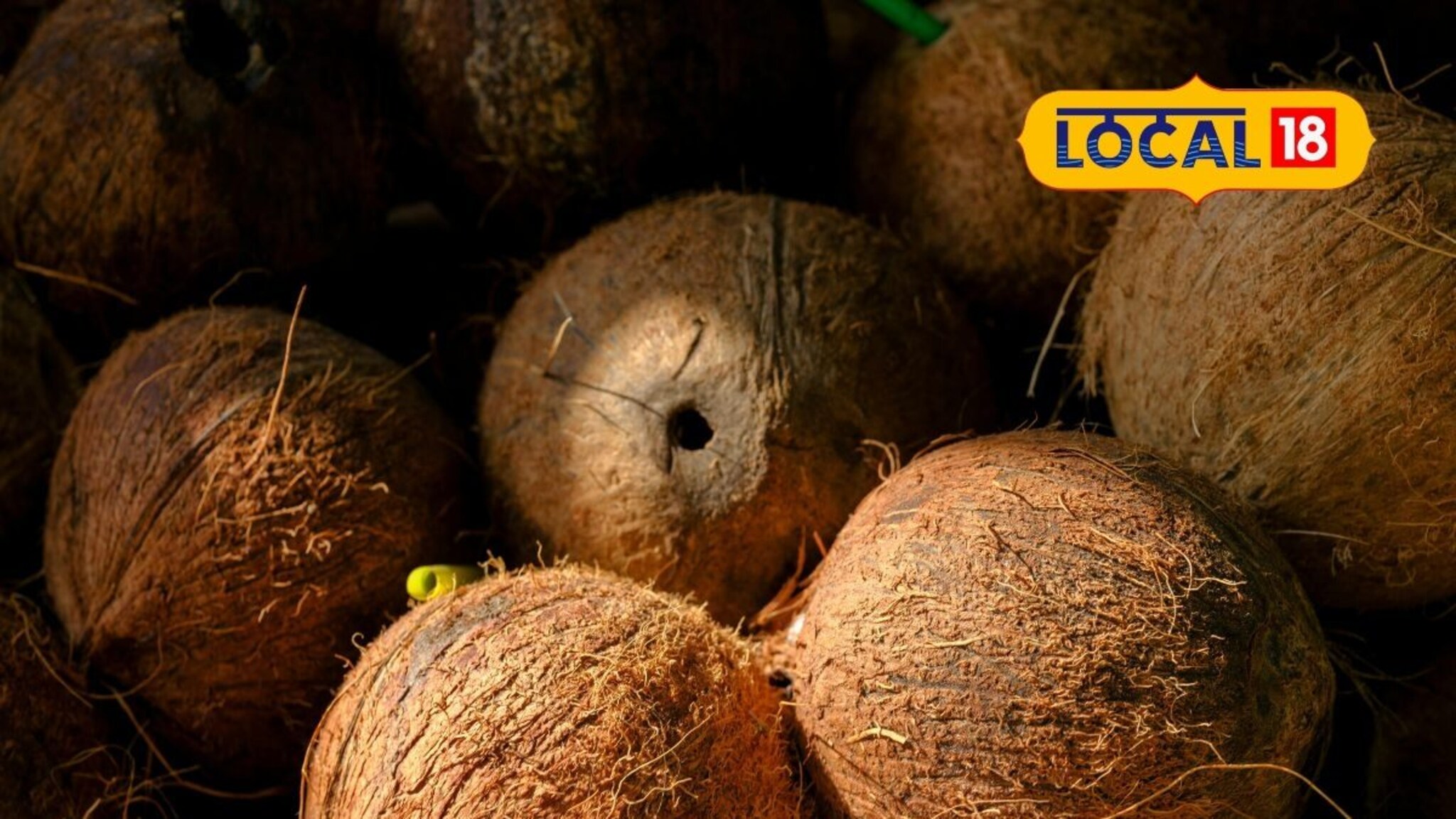 नवरात्रीत नारळ खातोय भाव! लहान नारळांची मागणी वाढली, कारण काय?