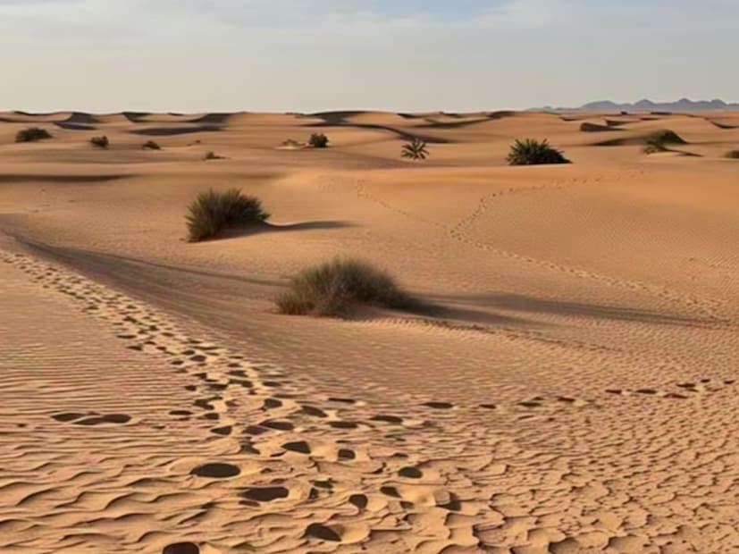 वाळू किंवा वाळवंटात चालत असलेलं स्वप्न - स्वप्नात वाळूवर चालत असल्याचं पाहणं अस्थिरता आणि आर्थिक दुर्बलतेचे प्रतीक आहे. स्वत:ला वाळवंटात वाट चुकल्यासारखं भटकताना पाहणं हे भीषण आर्थिक नुकसान किंवा आर्थिक अडचणी वाढण्याचे संकेत आहेत.