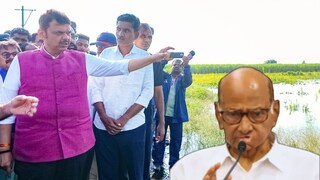 देवेंद्र फडणवीस-शरद पवार