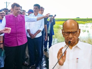 देवेंद्र फडणवीस-शरद पवार