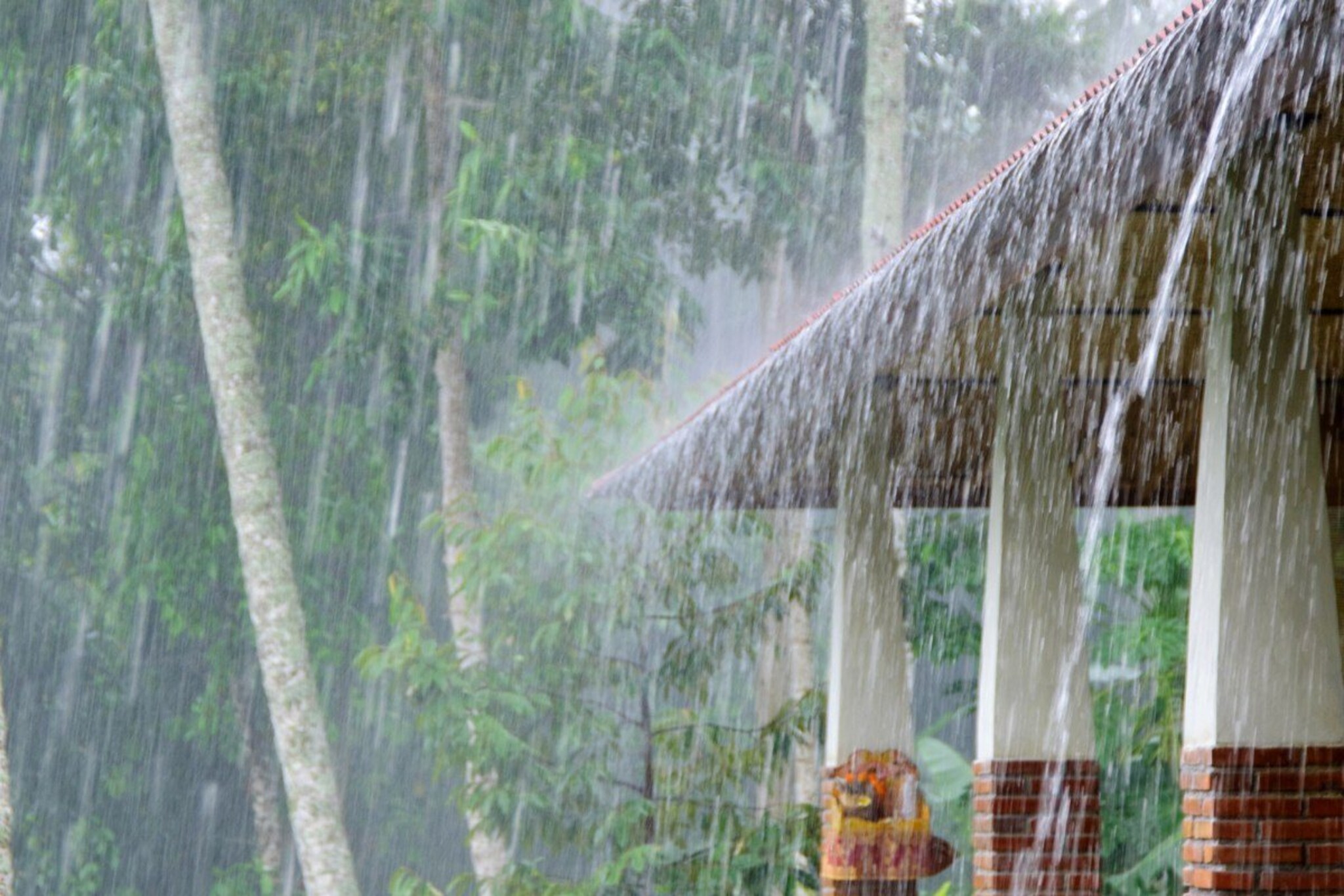 कोल्हापूरकरांनो लक्ष द्या! जिल्ह्यात उद्यापासून 3 दिवस 'ऑरेंज अलर्ट', हवामा...