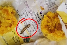 विठ्ठलाच्या प्रसादात अळ्या आणि बुरशी! भाविकांच्या भावना दुखावल्या; समितीचा...