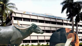 Kolhapur News Kolhapur News