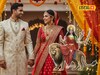 लवकर लग्न जुळत नाही? नवरात्रीच्या सहाव्या दिवशी करा 'हा' उपाय; देवी कात्यायनी...