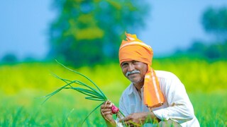 Satara News Satara News