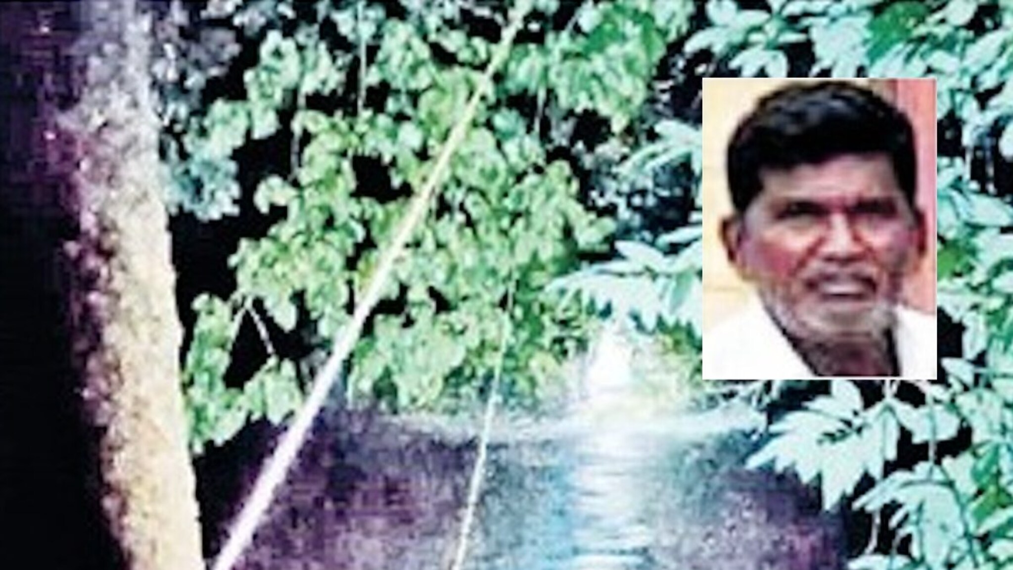 'समोर दिसत होता मृत्यू, पण झाडानं वाचवलं...', वाचा अंगावर शहारे आणणारी विठ्ठल...