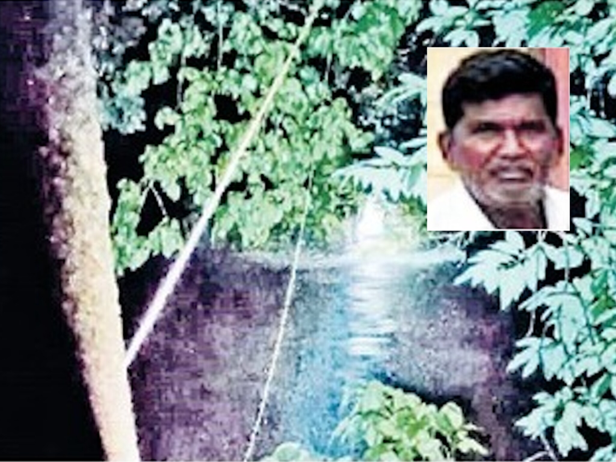 'समोर दिसत होता मृत्यू, पण झाडानं वाचवलं...', वाचा अंगावर शहारे आणणारी विठ्ठल...