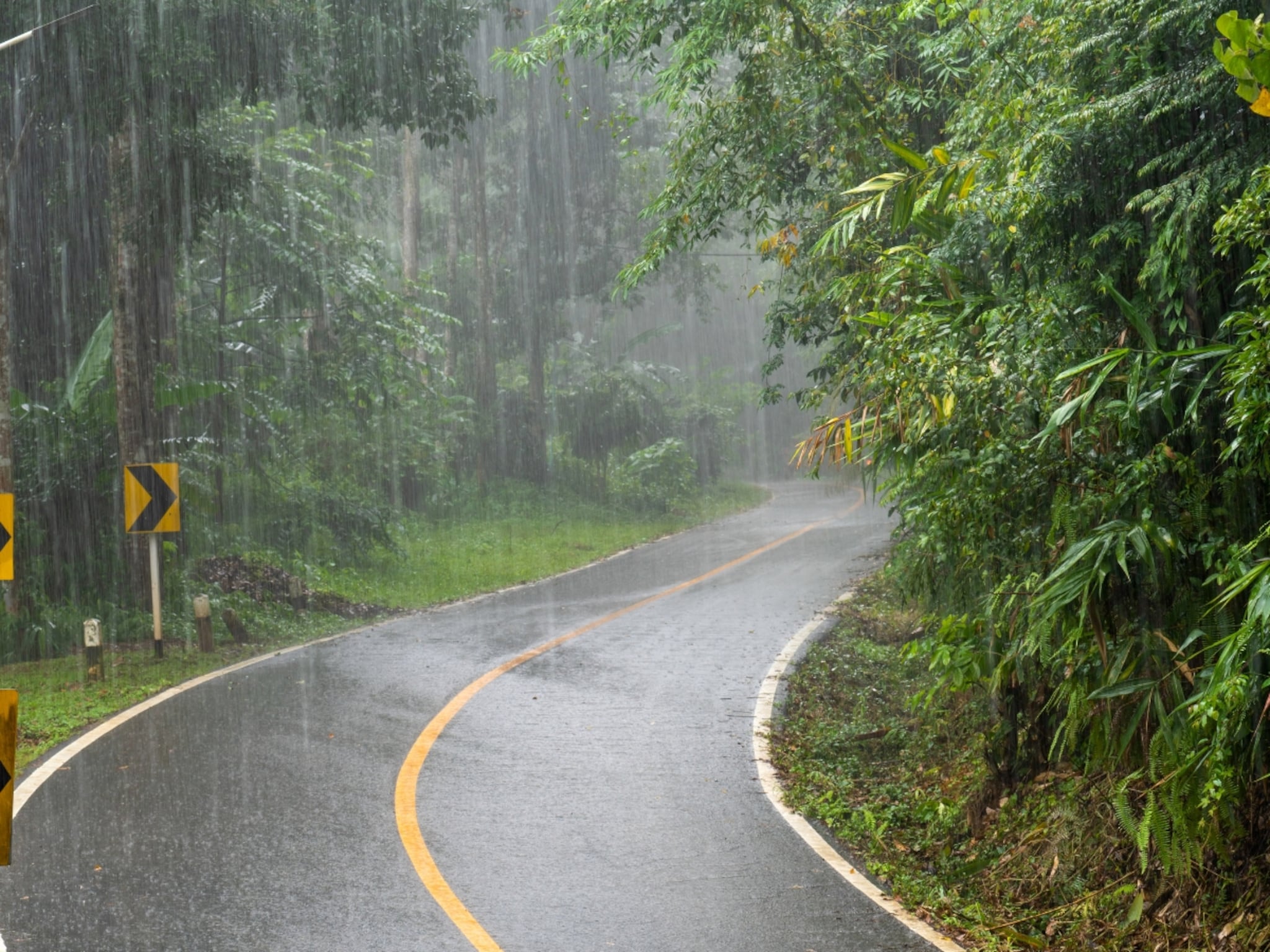 तो परतलाय, पुन्हा धुवांधार कोसळणार! राज्यात 5 दिवस घालणार थैमान, हवामान खात्यांनं सांगितलं...