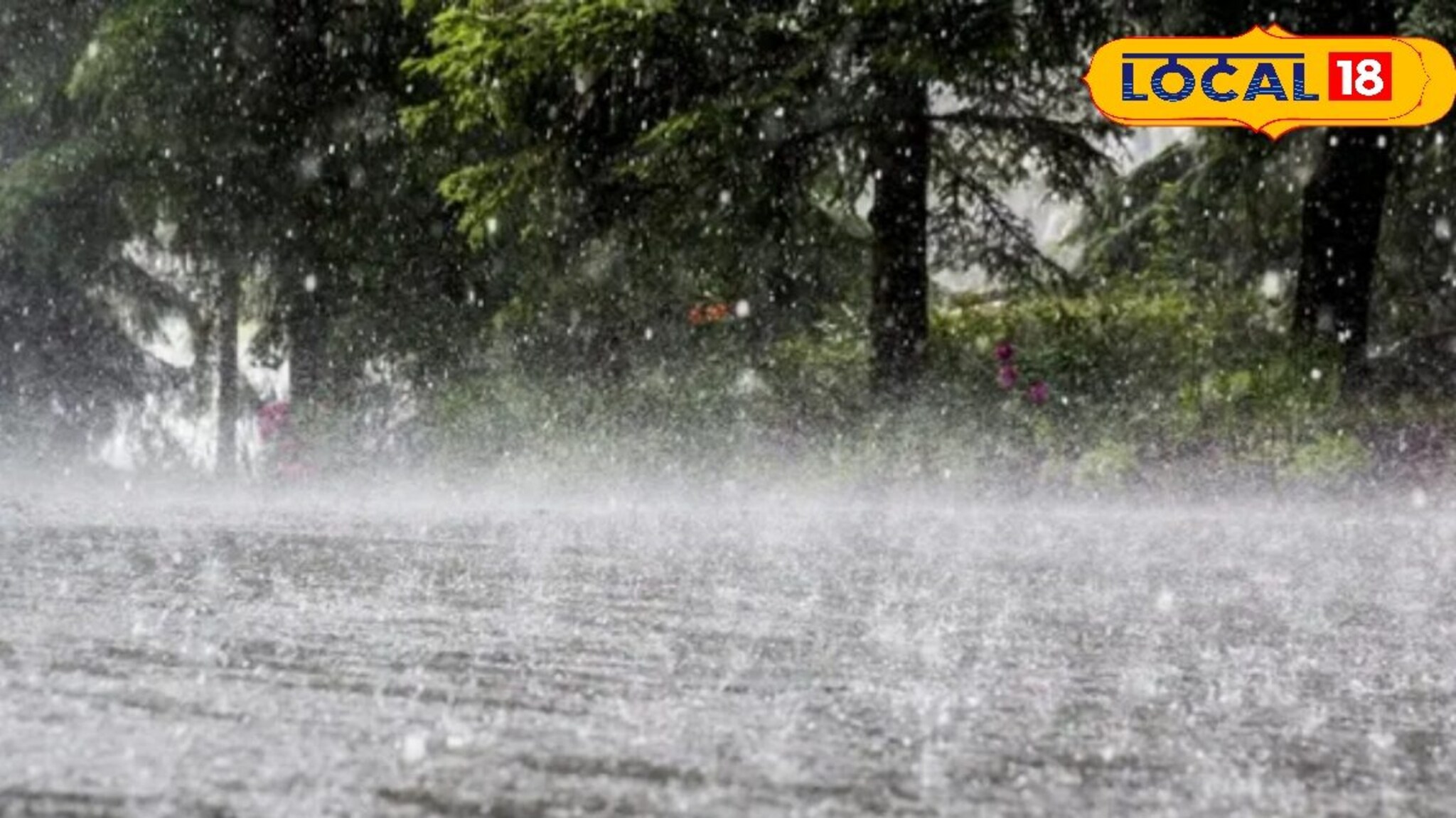Weather Alert: मुंबईकर संकट टळलं नाही, कोकणात वारं फिरलं, आज धो धो कोसळणार, IMD चा हायअलर्ट