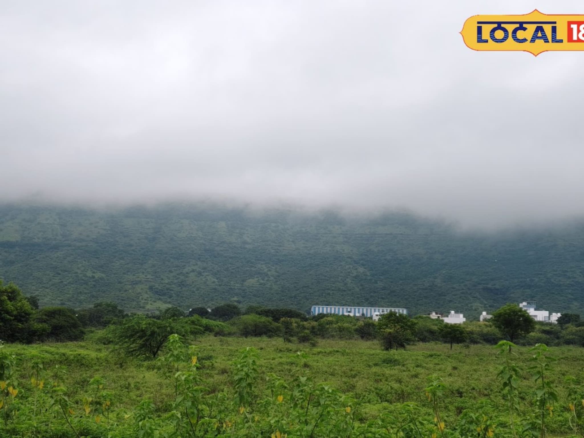 मराठवाड्यासाठी दिलासा, पावसाचा जोर कमी होणार, हवामान विभागाचं महत्त्वाचं अपडेट