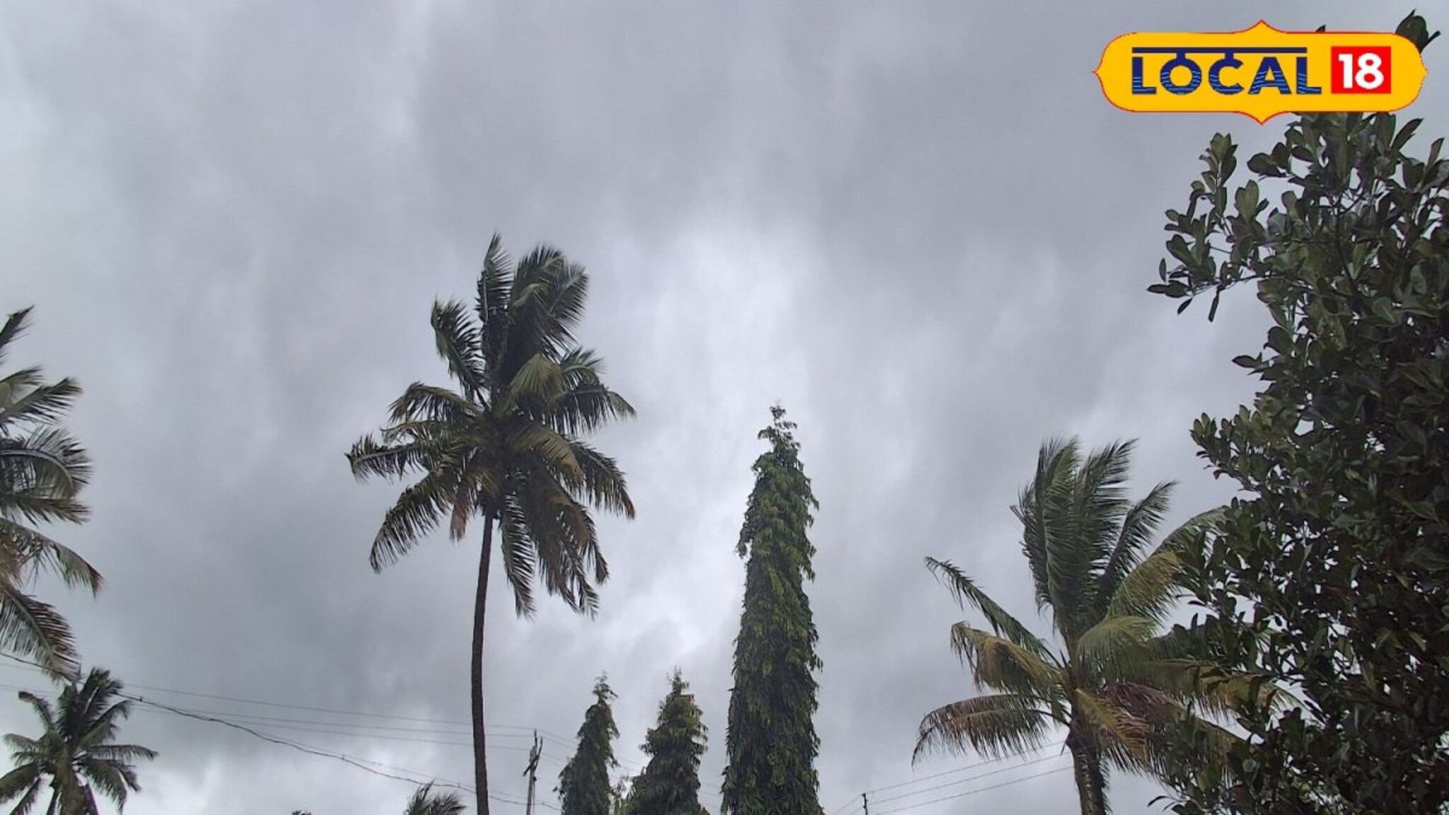 पश्चिम महाराष्ट्रात हवापालट! आज मुसळधार पाऊस की उघडीप,हवामान खात्याचं अपडेट
