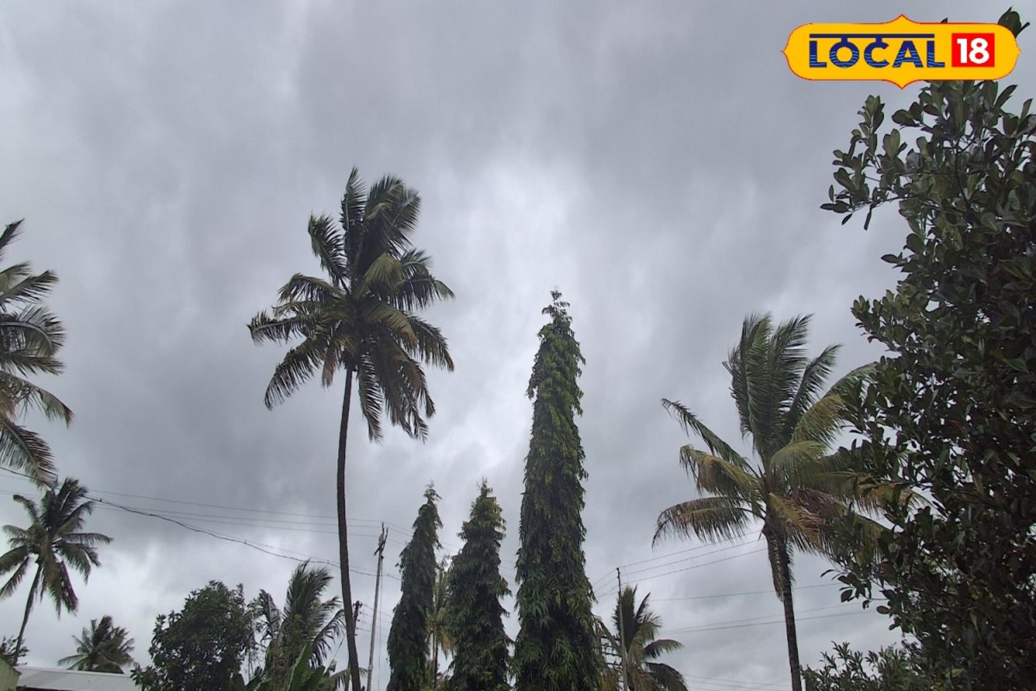 Pune Weather: पश्चिम महाराष्ट्रात हवापालट! आज मुसळधार पाऊस की उघडीप? हवामान खात्याचं महत्त्वाचं अपडेट