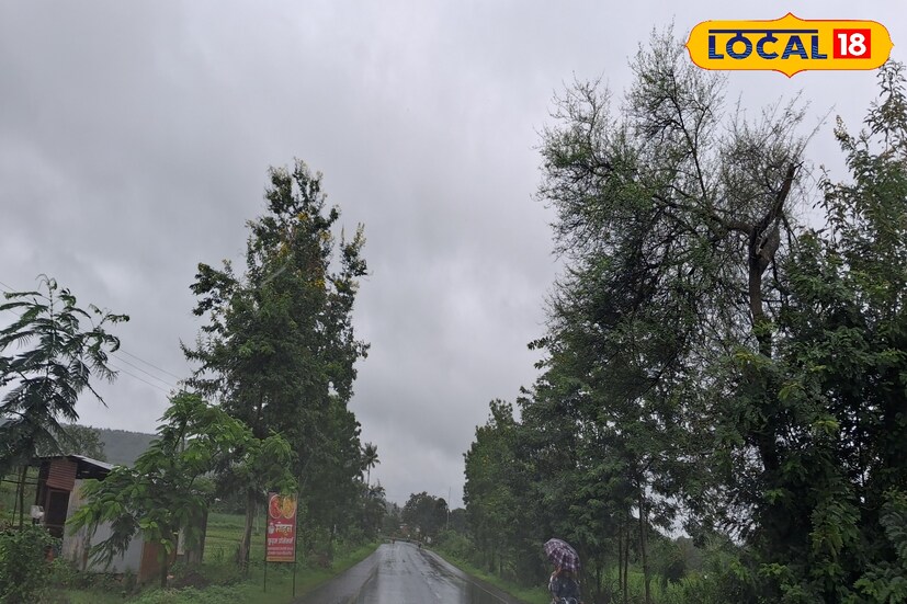 गेल्या 24 तासात सांगली जिल्ह्यामध्ये 0.1 मिलिमीटर पावसाची नोंद झाली. तसेच 28.5 अंश सेल्सिअस कमाल तापमानाची नोंद झाली. रविवारी विजांसह पावसाची शक्यता असून कमाल तापमान 29 तर किमान तापमान 23 अंश सेल्सिअस इतके राहील. हवामान विभागाने पुढील 24 तासांसाठी सांगलीला यलो अलर्ट जारी केला आहे. 