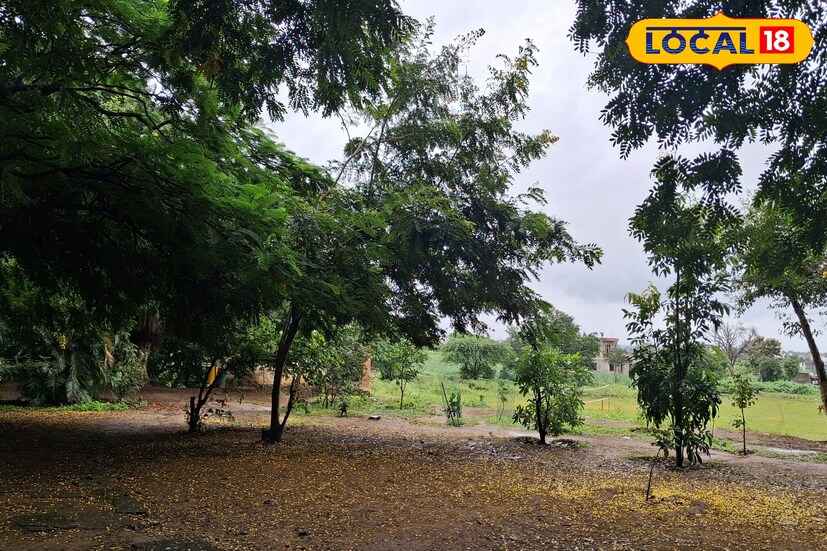 राज्यात ढगाळ वातावरण कायम आहे. संपूर्ण पश्चिम महाराष्ट्रात पुढील 48 तास जोरदार पावसाची शक्यता असल्याने नागरिकांनी योग्य ती काळजी घेण्याचे आवाहन हवामान विभागाने केले आहे. आजचा रविवार वादळी वाऱ्यासह पावसाचा असल्याने विशेषत: पर्यटकांना योग्य खबरदारी घ्यावी लागेल.