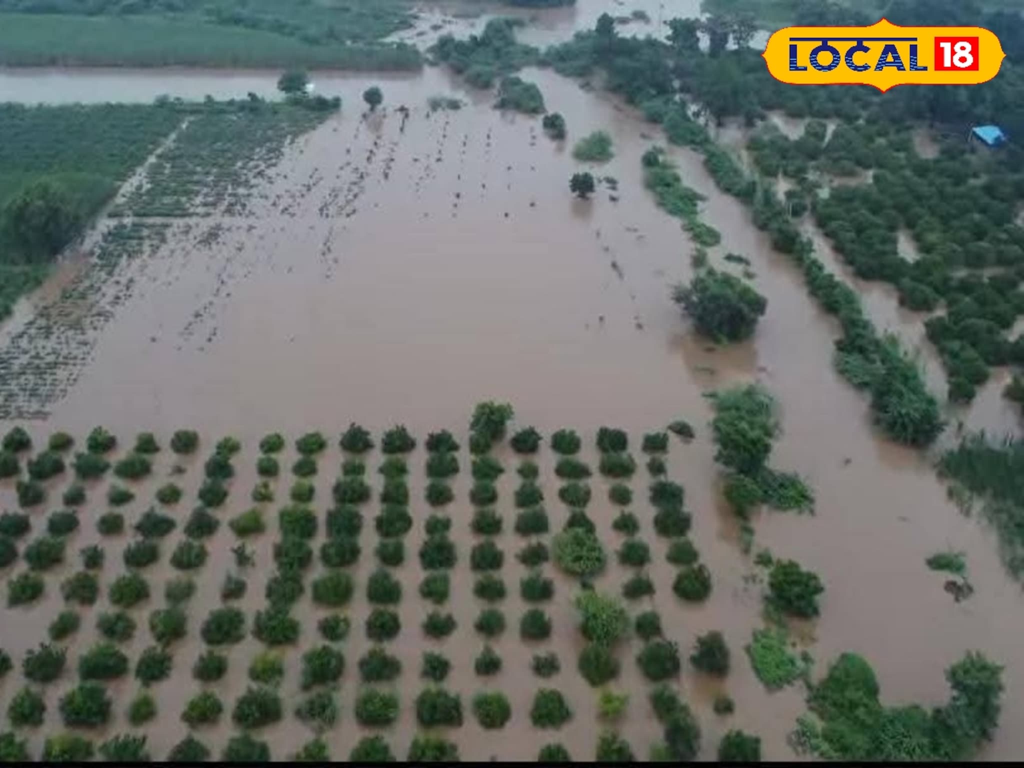 Rain Update: छ. संभाजीनगरच्या कन्नड, सिल्लोड अन् पैठणला अतिवृष्टीचा तडाखा; शेतकरी हवालदिल, Photo