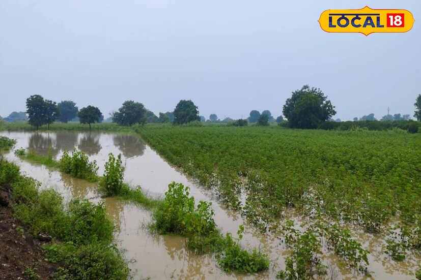 सोमवारी पहाटे 3 ते 6 या वेळेत सिल्लोड तालुक्यातील घाटनांद्रासह धारला, चारणेर, पेंडगाव, आमठाणा, केळगाव, घावडा परिसरात 70 मिमी पाऊस पडला. ढगफुटीसदृश्य पावसामुळे नद्या-नाले दुथडी भरून वाहू लागले. पुलांवरून पाणी वाहिल्याने अनेक गावांचा संपर्क तुटला आहे. शेतांमध्ये पाणी शिरल्याने मका, कपाशी, सोयाबीन, मका, अद्रक या पिकांचं नुकसान झालं.