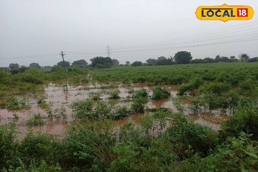 पैठण तालुक्यातील दहा महसुली मंडळांतील सुमारे 84 हजार हेक्टरवरील पिकांचं नुकसान झाल्याचा प्राथमिक अंदाज महूसल प्रशासने वर्तवला आहे. रविवारी अधिकाऱ्यांनी पाहणी केल्यानंतर सोमवारी सकाळपासूनच पंचनामे सुरू केले. तालुक्यातील नुकसानग्रस्त भागांचे पंचानामे सुरूच असल्याची माहिती तहसीलदार ज्योती पवार यांनी दिली.