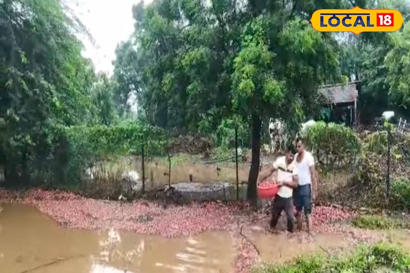 पैठण येथील शेतकरी अंबादास फुके यांनी 1 एकर क्षेत्रात कांद्याची लागवड केली होती. जवळपास दहा ते अकरा टन तो कांदा निघाला असता. मुसळधार पावसामुळे पाण्यासोबतच कांदा वाहून गेला आहे. फुके यांना या कांदा शेतीसाठी 40 ते 50 हजार रुपयांचा खर्च लागला होता. शासनाने तात्काळ नुकसान भरपाई द्यावी, अशी मागणी त्यांनी केली. 