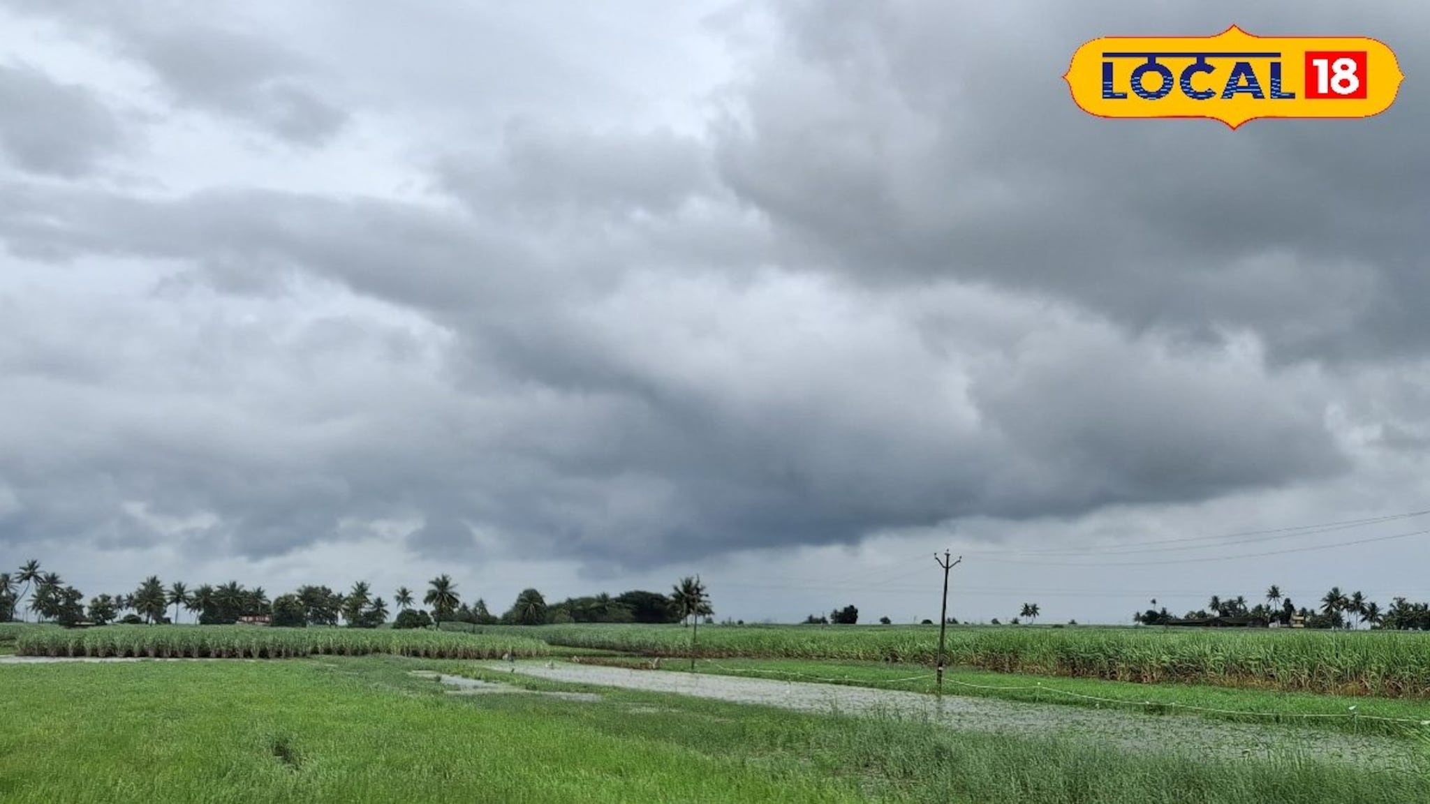 Weather Alert: पुणे ते सोलापूर धो धो कोसळणार, पश्चिम महाराष्ट्रातील 4 जिल्ह्यांना पुन्हा अलर्ट