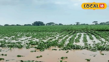 मुसळधार