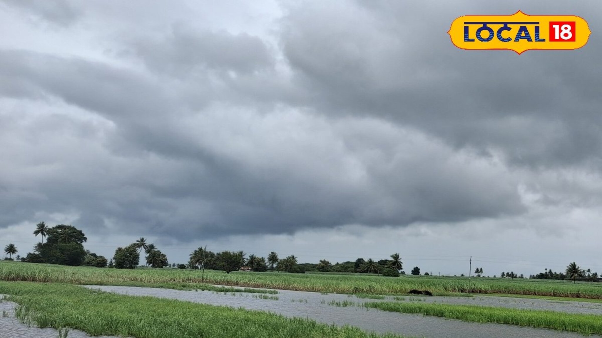 विजा कडाडणार, पश्चिम महाराष्ट्रात धो धो कोसळणार, पुण्यासह 5 जिल्ह्यांना अलर्ट