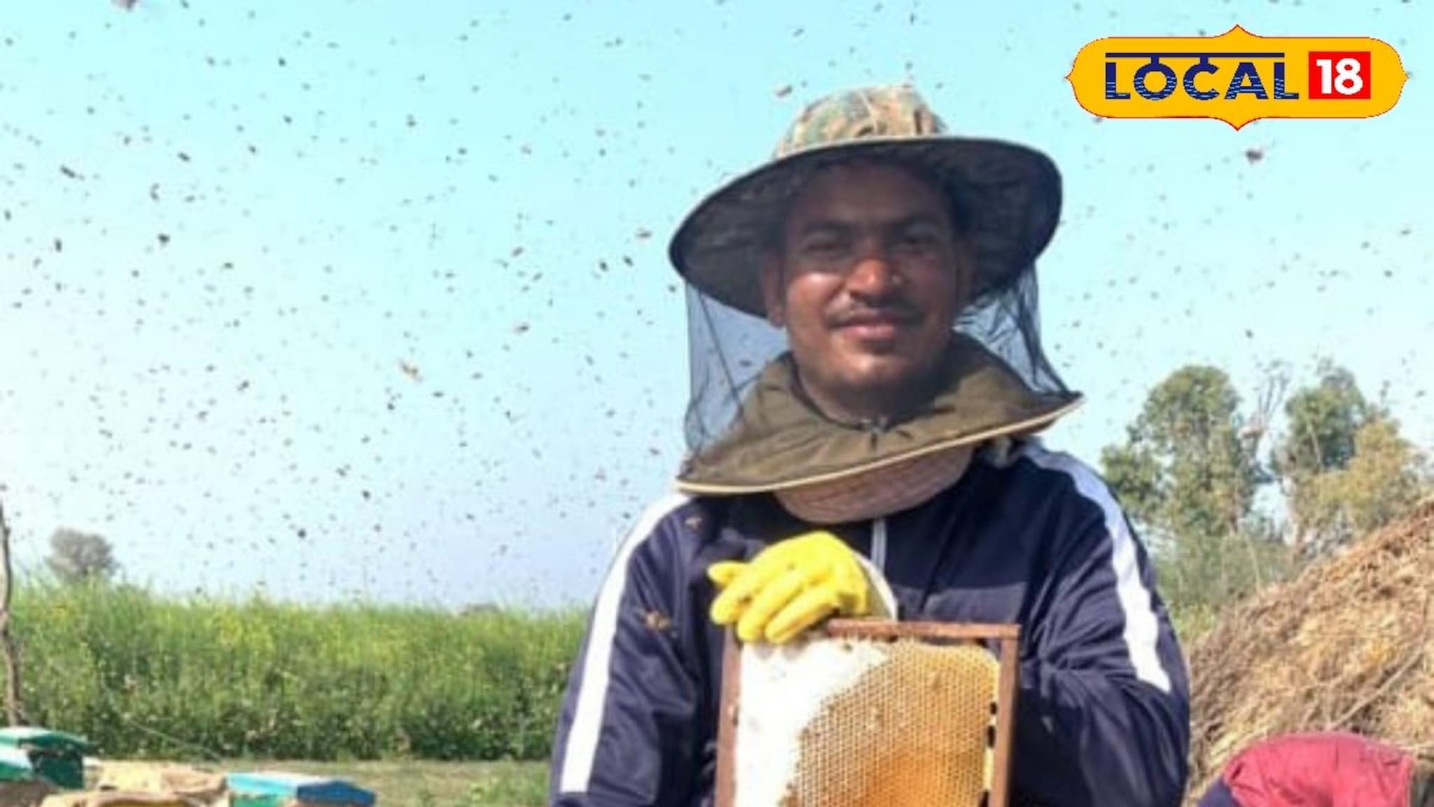 नोकरी सोडली, मधमाशी पालनाचा सुरू केला व्यवसाय, तरुणाची वर्षाला 15 लाखांची उलाढाल