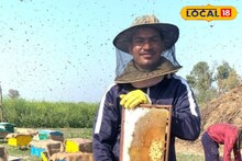 Success Story : नोकरी सोडली, मधमाशी पालनाचा सुरू केला व्यवसाय, तरुणाची वर्षाला 15 लाखांची उलाढाल, Video
