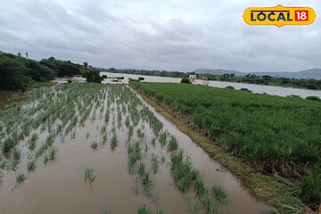 पश्चिम महाराष्ट्रात पावसाचं धुमशान सुरूच, शनिवारी पुण्यासह 4 जिल्ह्यांना अलर्ट