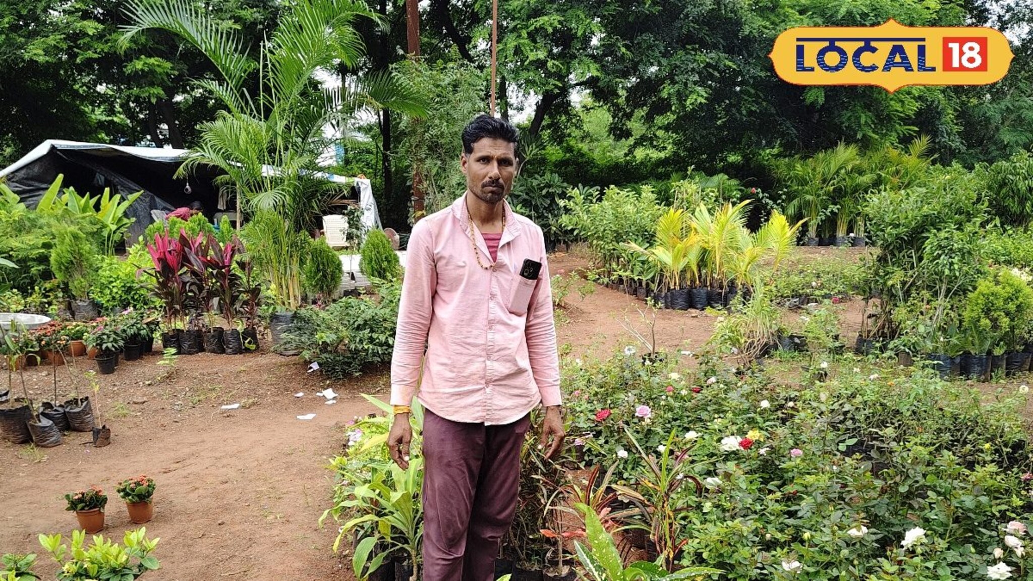 नर्सरी व्यवसायातून झाला मालामाल, झाडांची विक्री करून नशीब पालटले