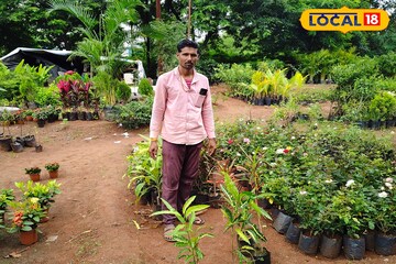 नर्सरी व्यवसायातून झाला मालामाल, झाडांची विक्री करून नशीब पालटले
