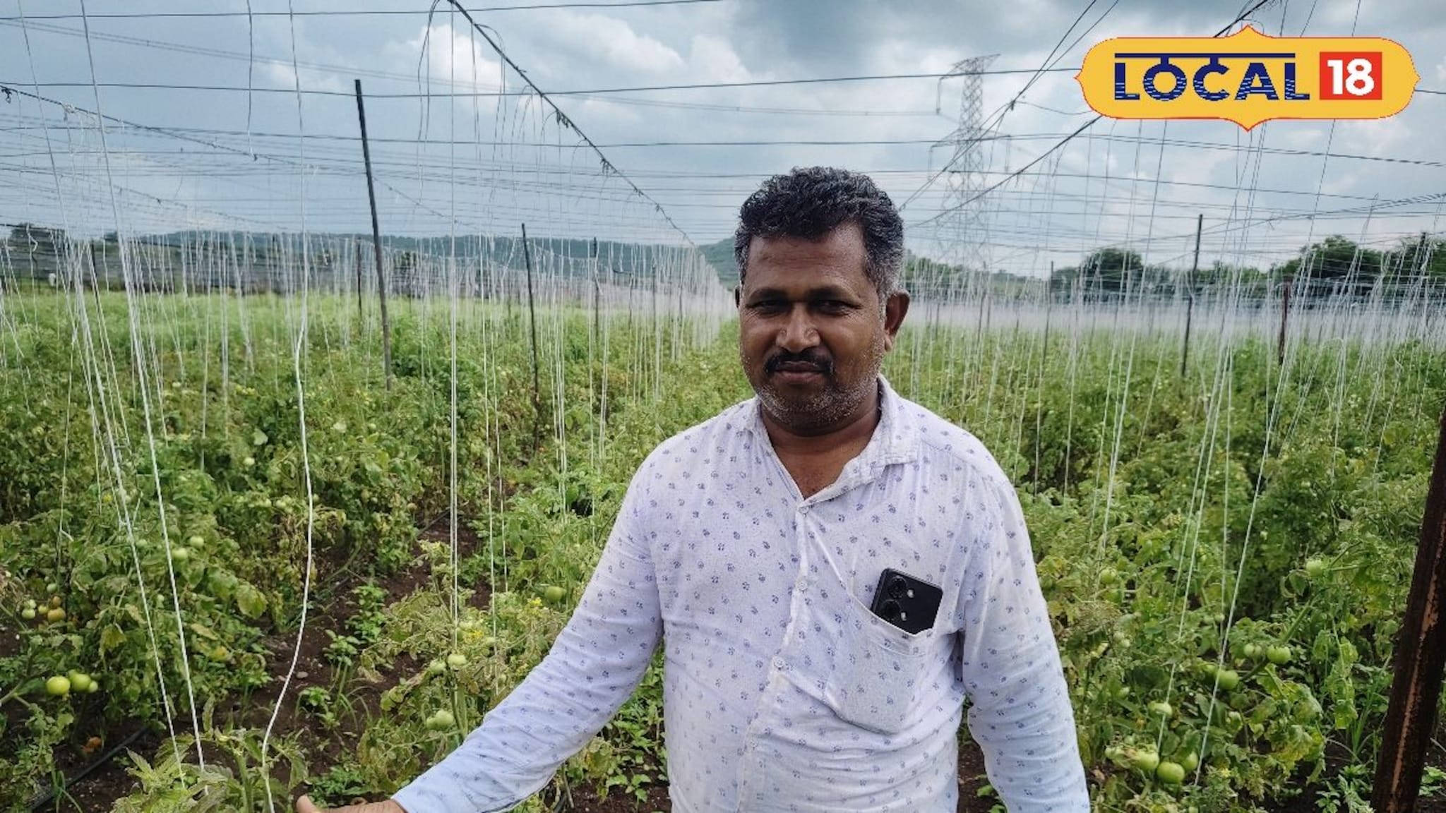 शेतकरी टोमॅटो शेतीतून मालामाल; 1 एकर मधून उत्पादन काढण्यास सुरुवात, 5 लाखांचे उत्पन्न मिळण्याची अपेक्षा..! 