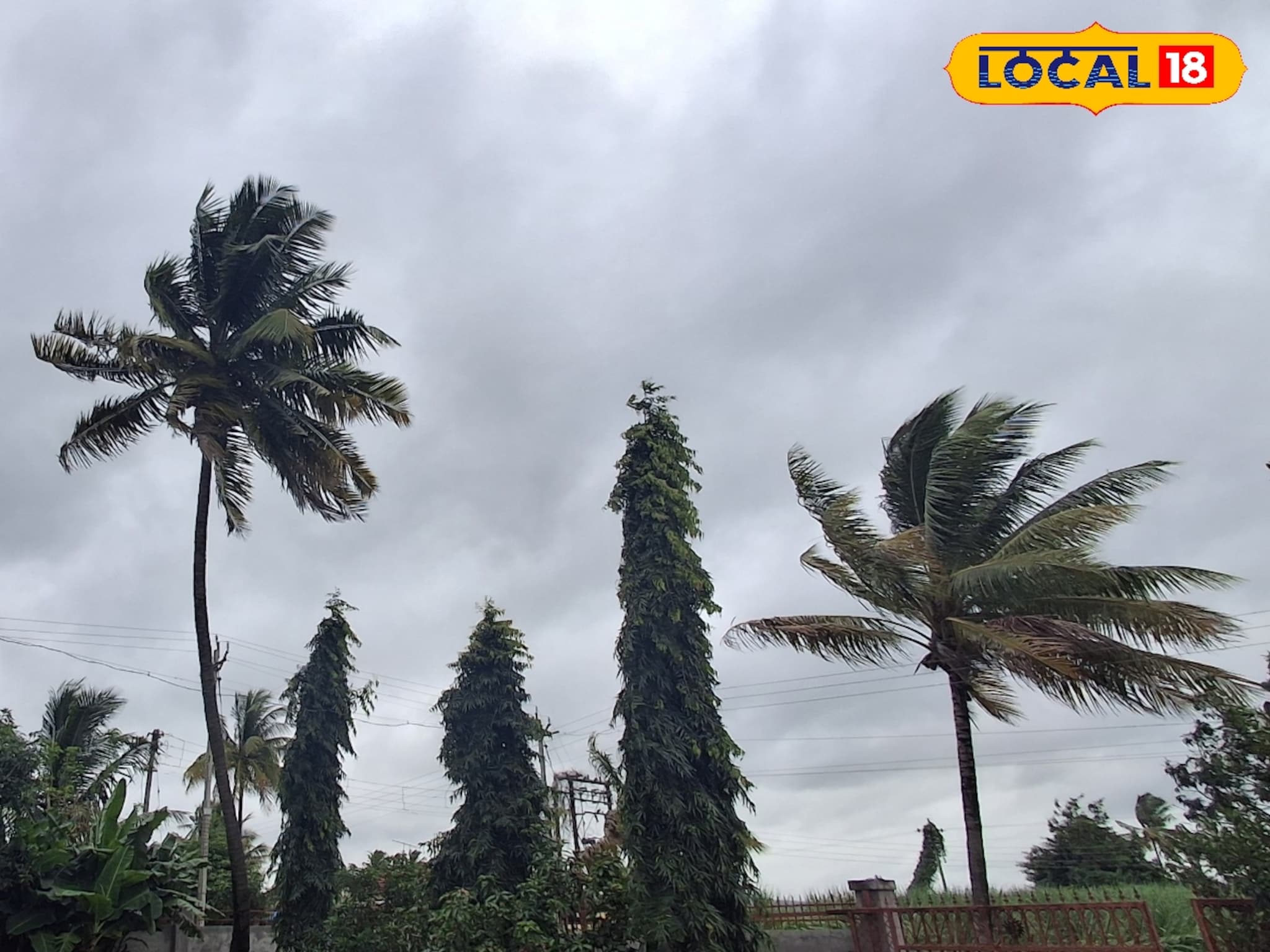 Weather Alert: पुणे ते सोलापूर पावसाचा धुमाकूळ, रविवारी सोसाट्याचा वारा, IMD कडून अलर्ट