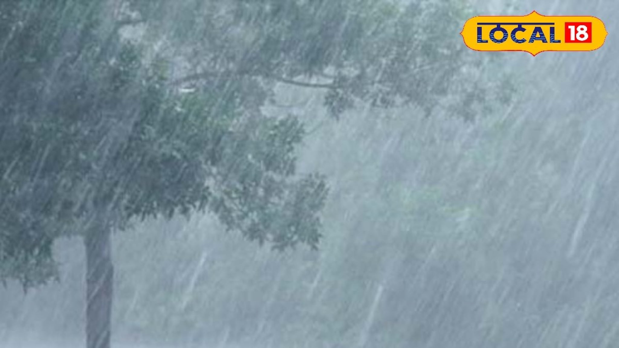 Marathwada Rain : मराठवाड्यात पावसाचा जोर कायम, 8 जिल्ह्यांना अलर्ट