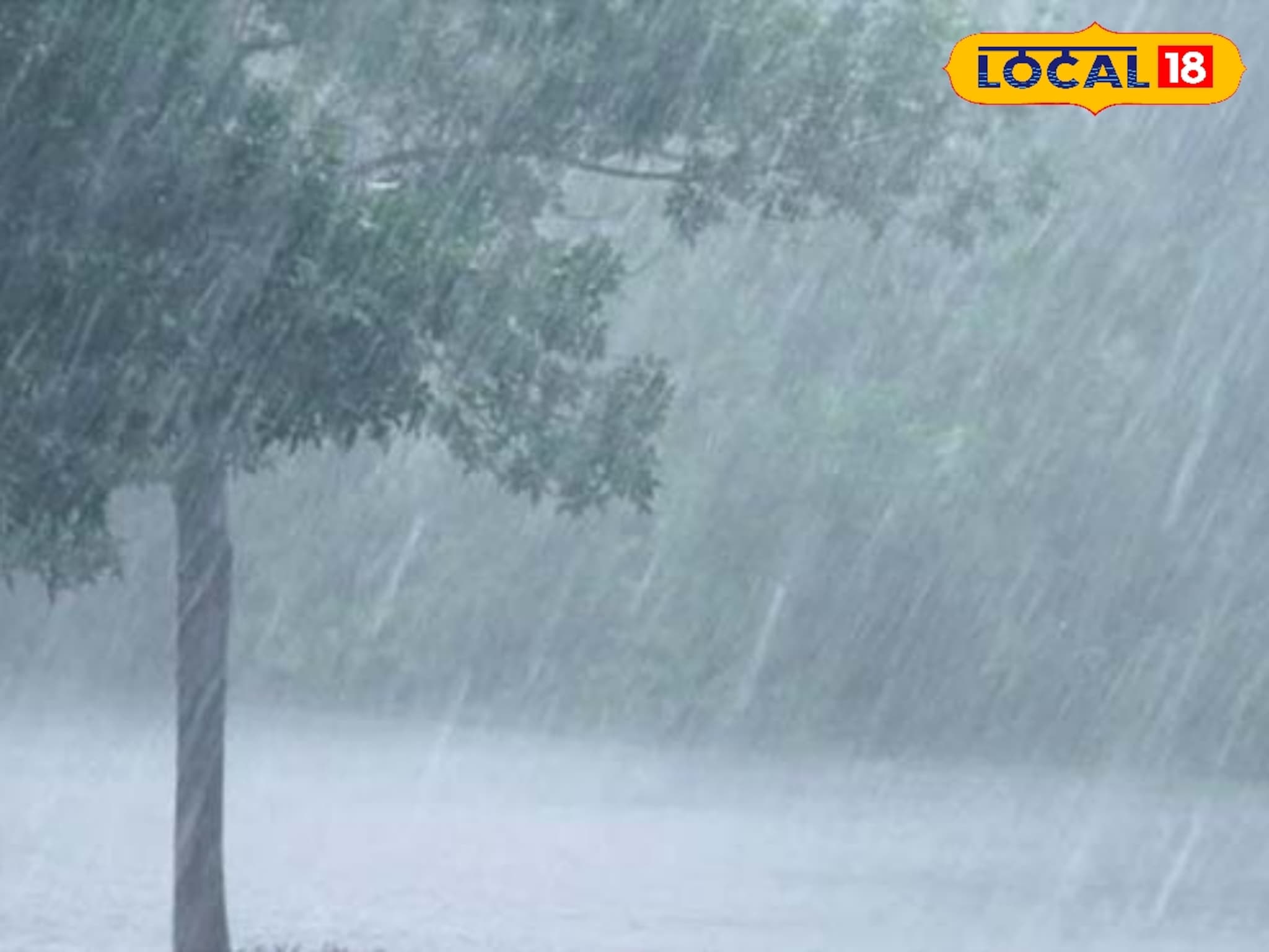 Marathwada Rain : मराठवाड्यात पावसाचा जोर कायम, 8 जिल्ह्यांना अलर्ट