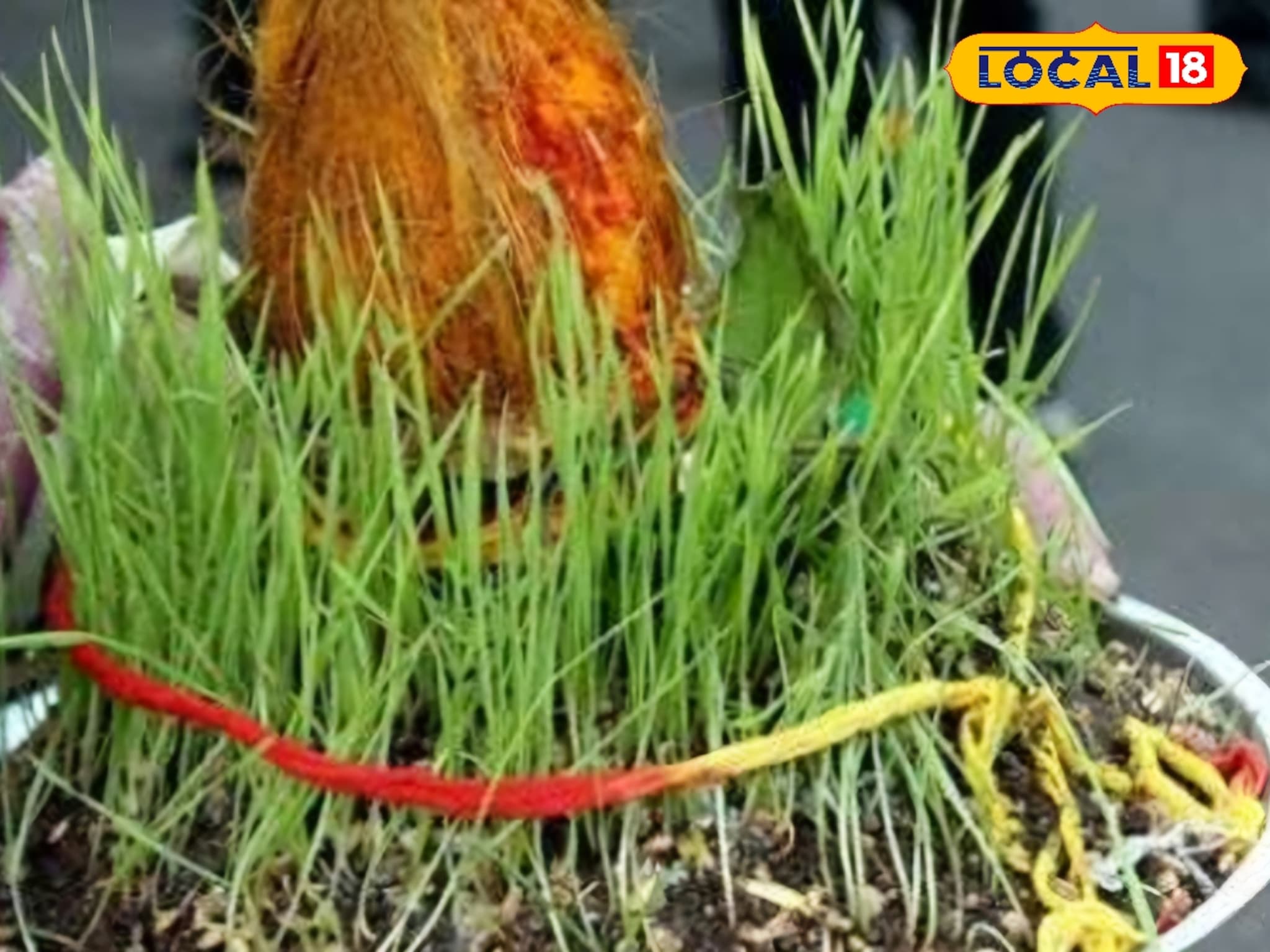 सांगलीतील अनोखी परंपरा, पत्रावळीमध्ये बसवले जातात घट, Video