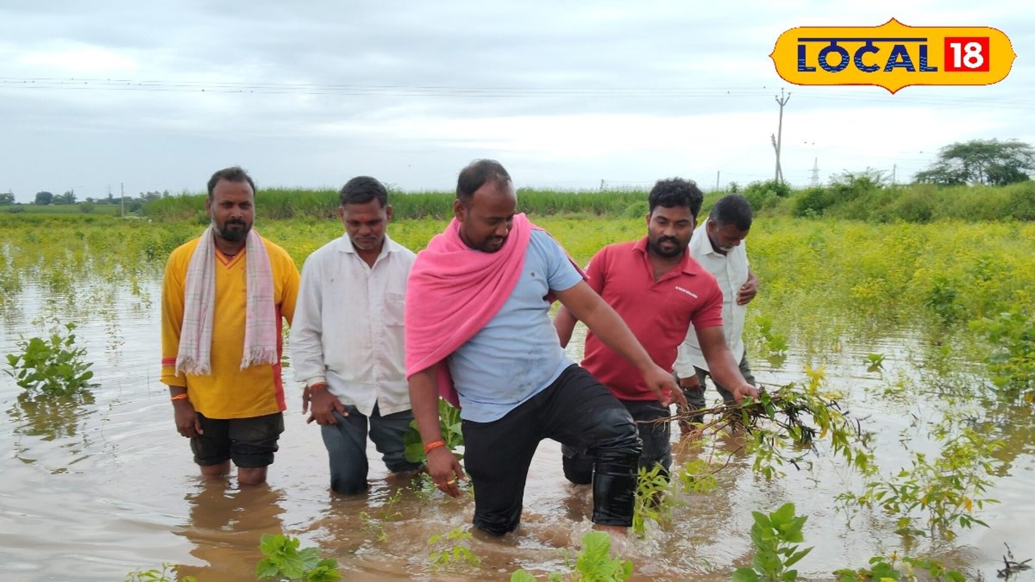 सीना नदीला महापूर! सोलापुरात होत्याचं नव्हतं झालं, काढणीला आलेलं पीक पाण्यात गेल