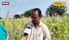 शेत गेलं, घरंही बुडालं, गावात छाती एवढं पाणी; सोलापुरातलं भयानक दृश्य, बळीराजा र