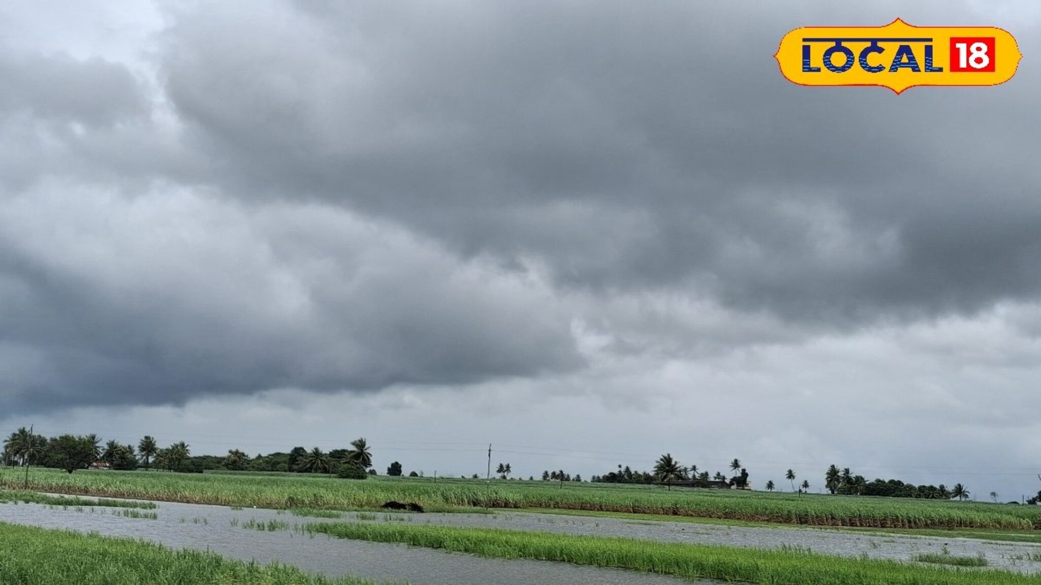 Weather Alert: वारं फिरलं, टेन्शन वाढलं! पुणे, सोलापुरात धो धो कोसळणार, पश्चिम महाराष्ट्रातील 5 जिल्ह्यांना अलर्ट
