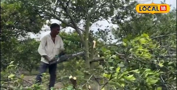 ‎हवामानाचा