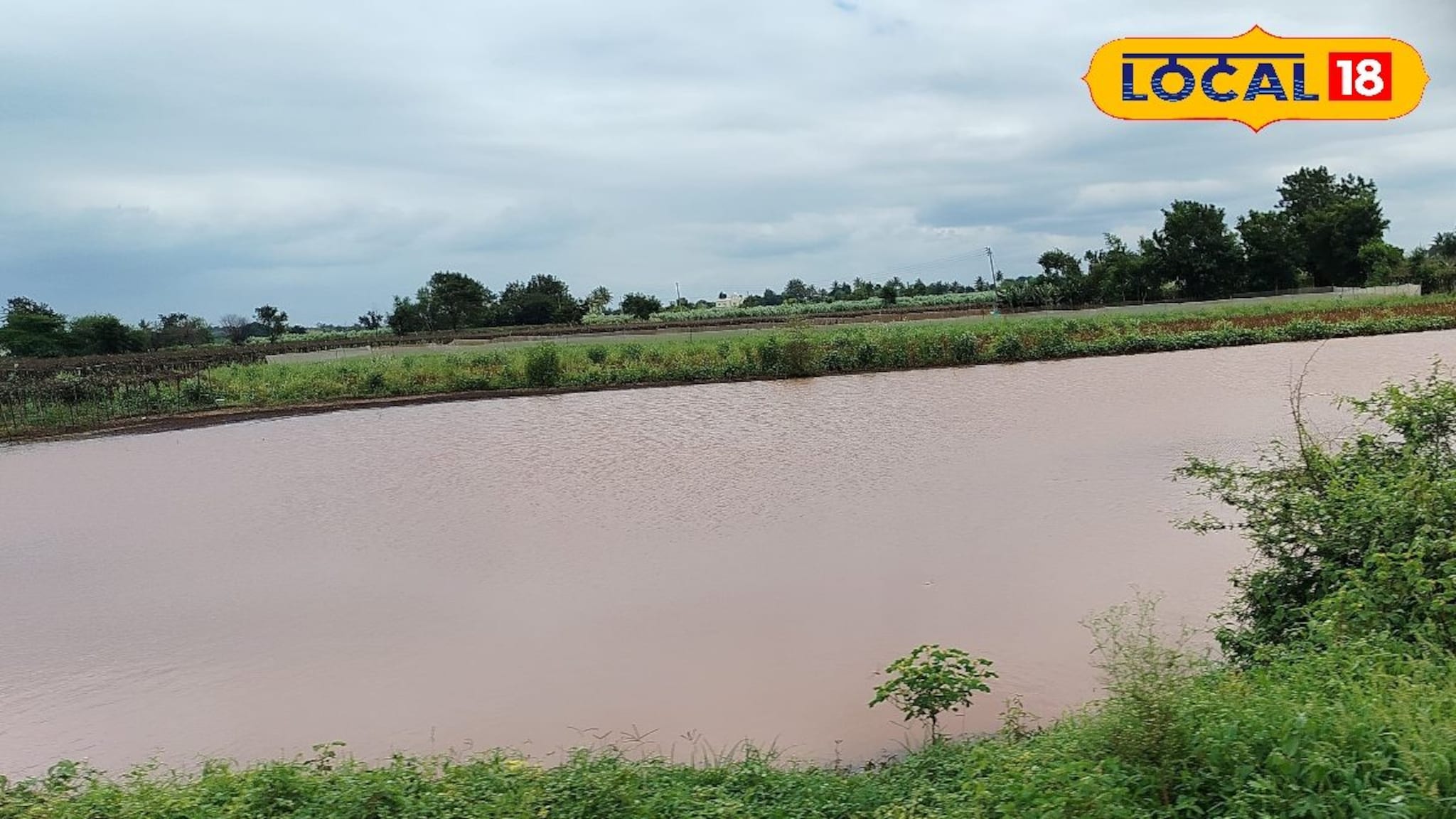 पश्चिम महाराष्ट्रात हवा बदलली, सोलापूरवर नवं संकट, IMD कडून महत्त्वाचा अलर्ट